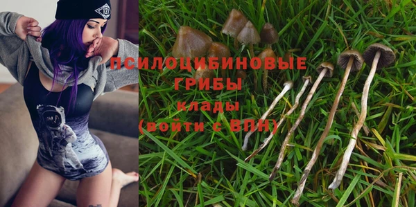 гидра Липки
