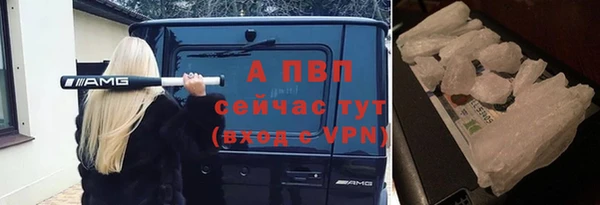 гидра Липки