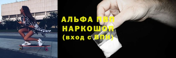 гидра Липки