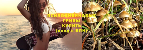 гидра Липки