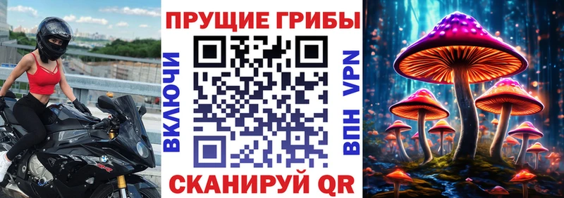где можно купить   Красково  ОМГ ОМГ ссылки  Галлюциногенные грибы прущие грибы 